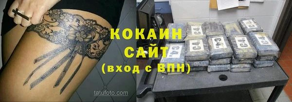 хмурый Арсеньев