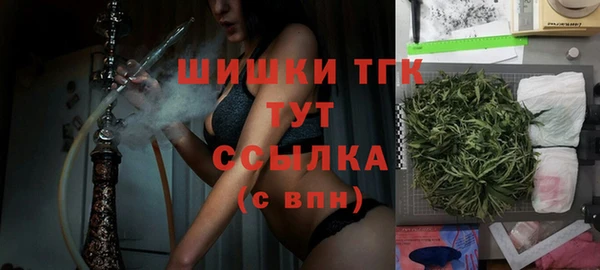 хмурый Арсеньев
