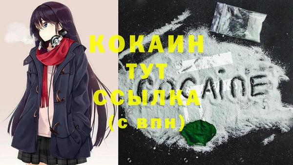 хмурый Арсеньев