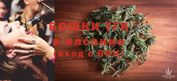 хмурый Арсеньев