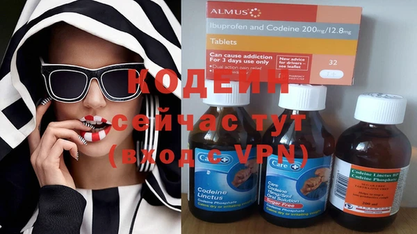 хмурый Арсеньев