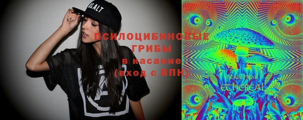 хмурый Арсеньев