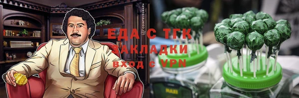 хмурый Арсеньев