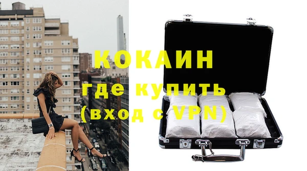 стафф Алзамай