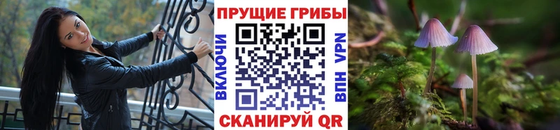 Галлюциногенные грибы ЛСД  как найти закладки  mega вход  Салехард 